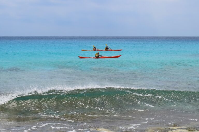 The Impact of Cricket on Cultural Diplomacy in the Middle East