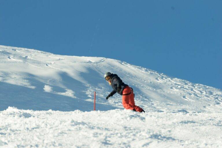 Sustainability Initiatives in IPL Stadiums: Green Practices and Environmental Impact